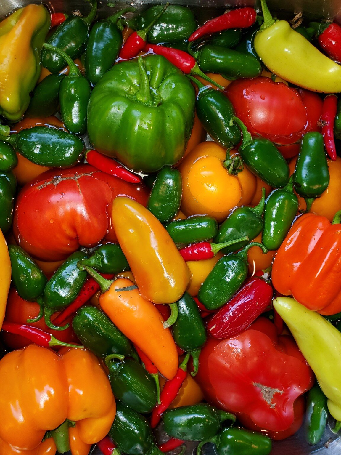 Summer and Fall Harvests