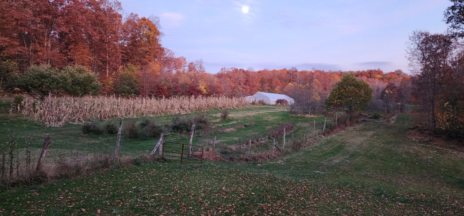 Fall Fest