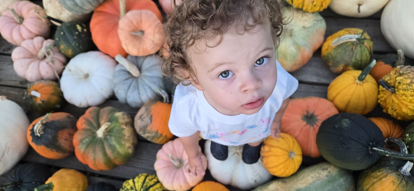 Summer and Fall Harvests