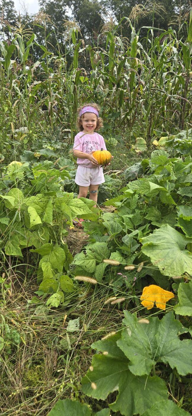Summer and Fall Harvests